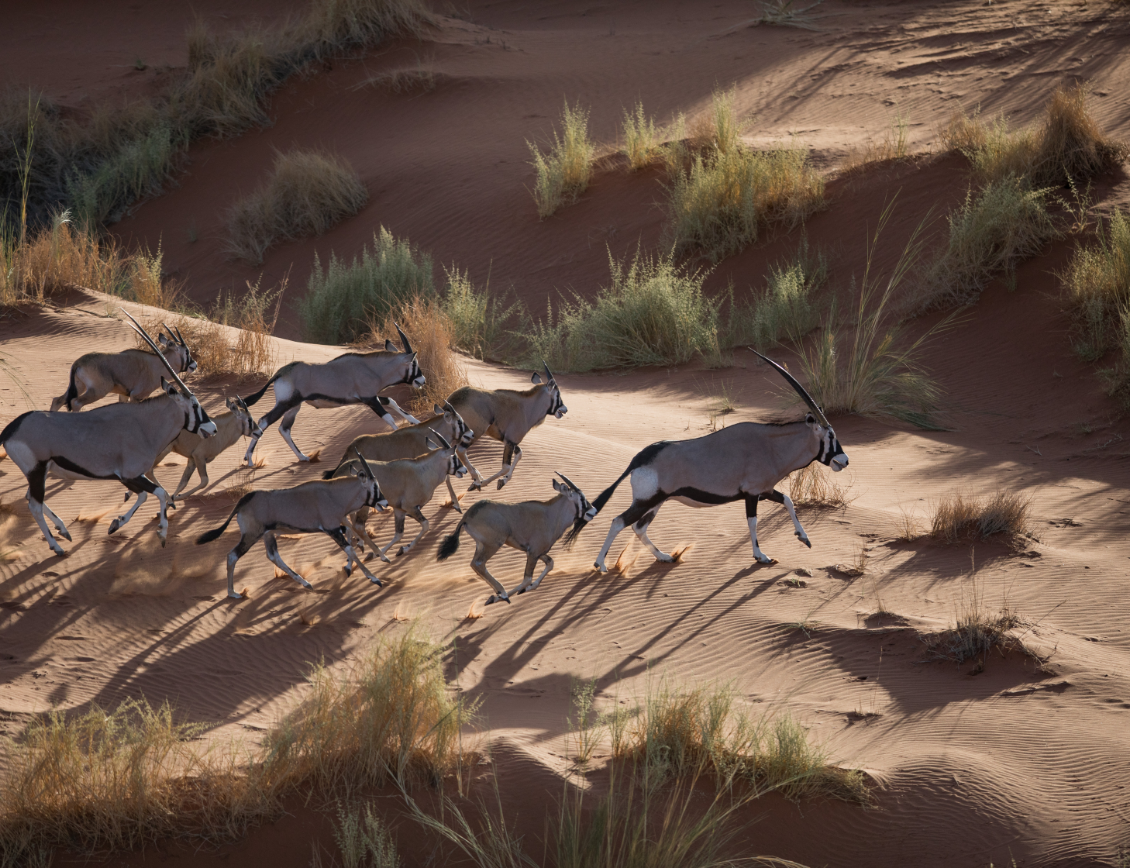 Scenic-Helicopter-Flight-Oryx-andBeyond-Sossusvlei__1_